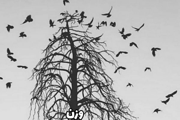 مَفعولُ مَفاعِلُن مَفاعیلُن