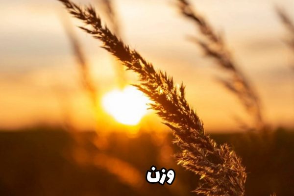 مَفعولُ مَفاعیلُ مفاعیلُ فَعولُن