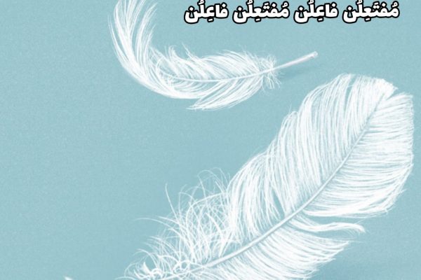 مُفتَعِلُن فاعِلُن مُفتَعِلُن فاعِلُن