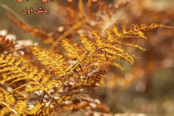 مُفتَعِلُن مَفاعِلُن مُفتَعِلُن مَفاعِلُن