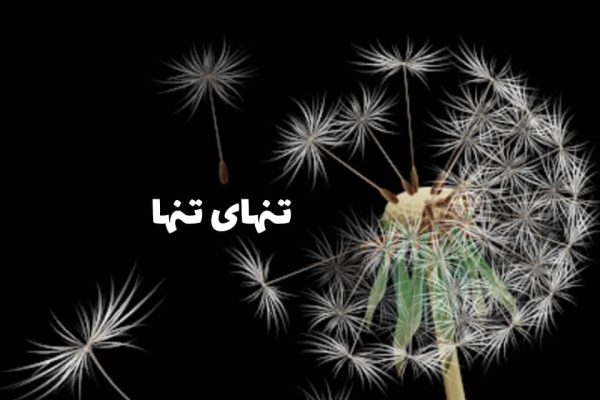 تنهایِ تنها