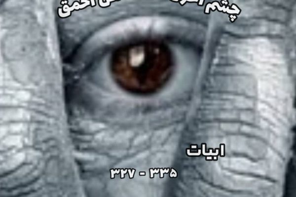 چشم اَحوَل، عقل احمق