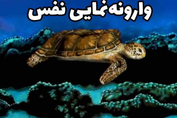 وارونه نمایی‌های نفس
