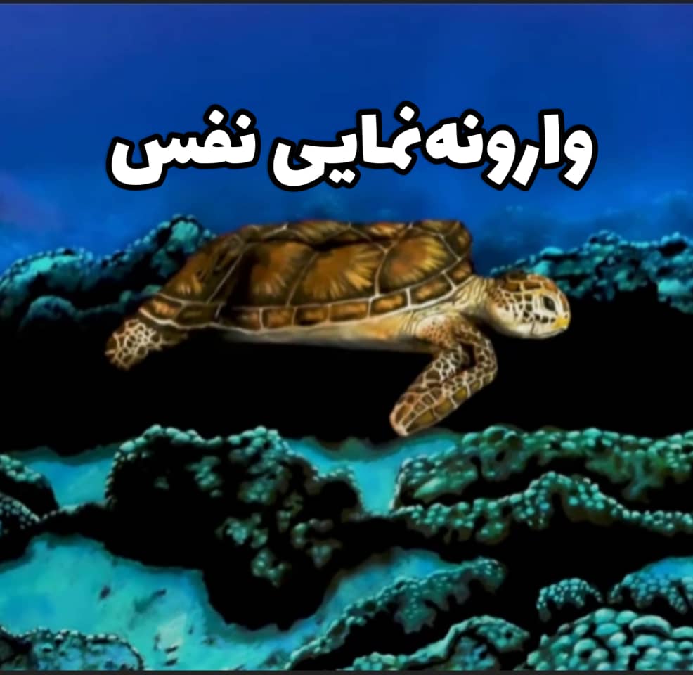 وارونه نمایی‌های نفس