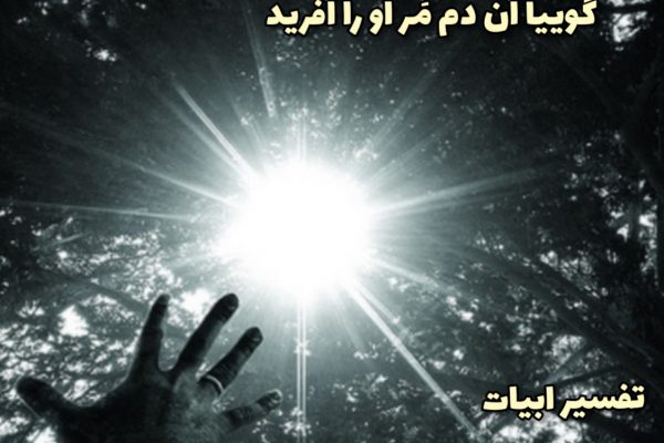 مثنوی معنوی دفتر دوم