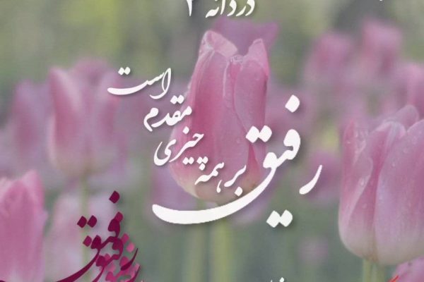 رفیق بر همه چیزی مقدم است